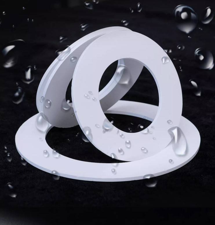 Clean Room Gasket for Wafer Processing - Image 2