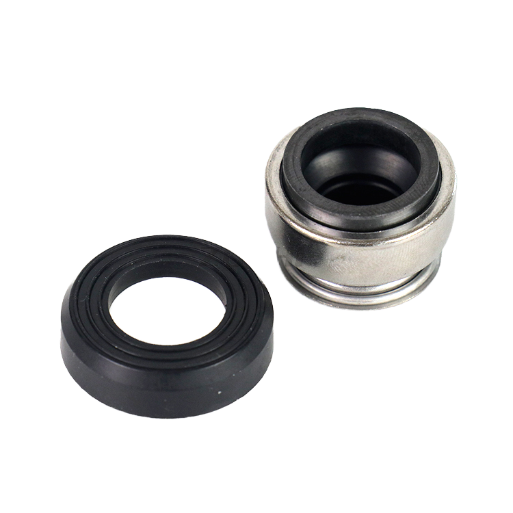 Rubber Seal for Chemical Metering Pump - Image 3