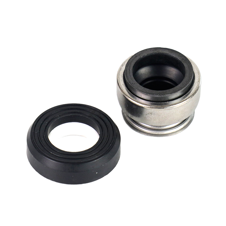Rubber Seal for Chemical Metering Pump - Image 2